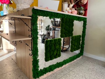 Стол порос мхом