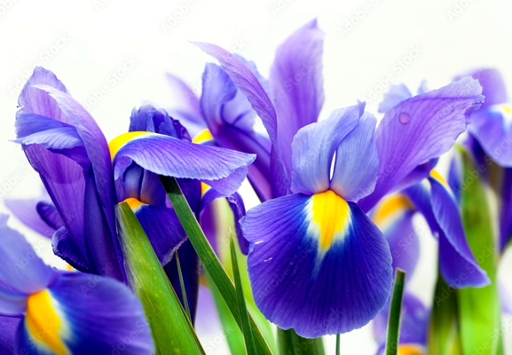 Составим композицию