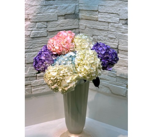 Гортензия микс