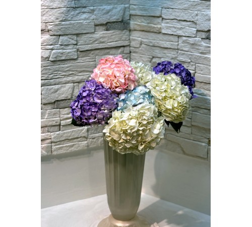 Гортензия микс