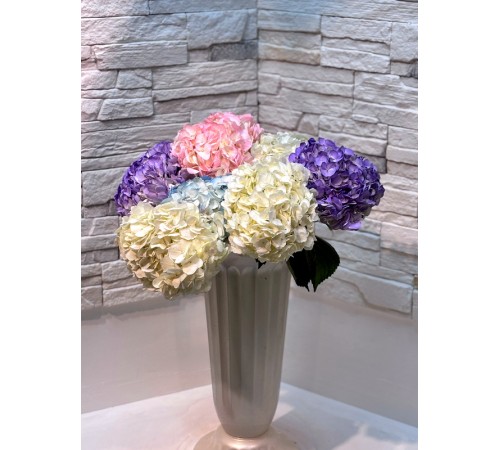 Гортензия микс