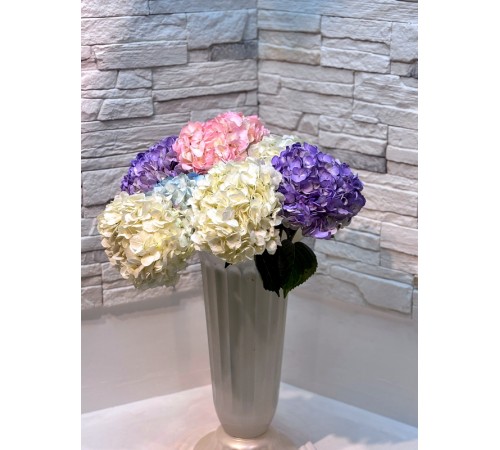 Гортензия микс