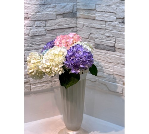 Гортензия микс