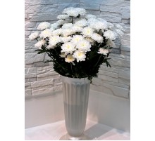 Хризантема кустовая Altaj Premium