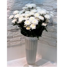 Хризантема кустовая Altaj Premium