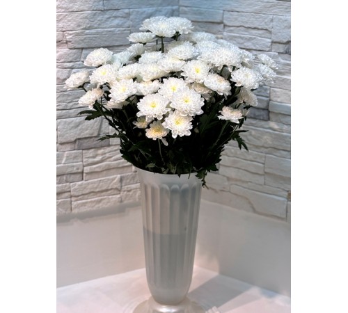 Хризантема кустовая Altaj Premium