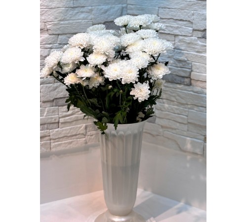 Хризантема кустовая Altaj Premium