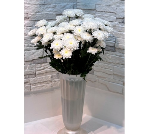 Хризантема кустовая Altaj Premium