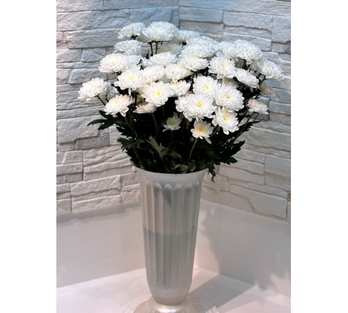 Хризантема кустовая Altaj Premium