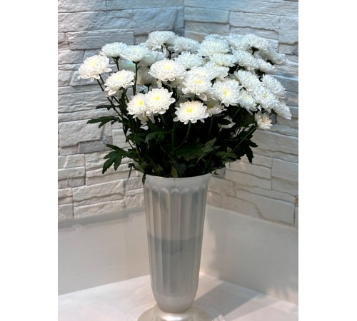 Хризантема кустовая Altaj Premium