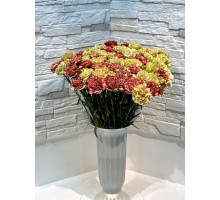 Гвоздика микс