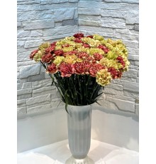 Гвоздика микс