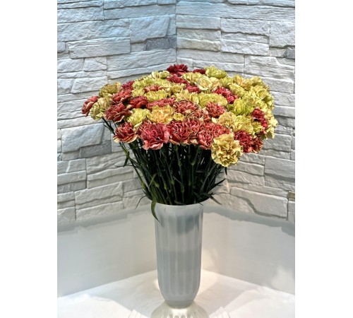 Гвоздика микс