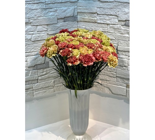 Гвоздика микс