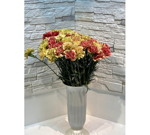 Гвоздика микс