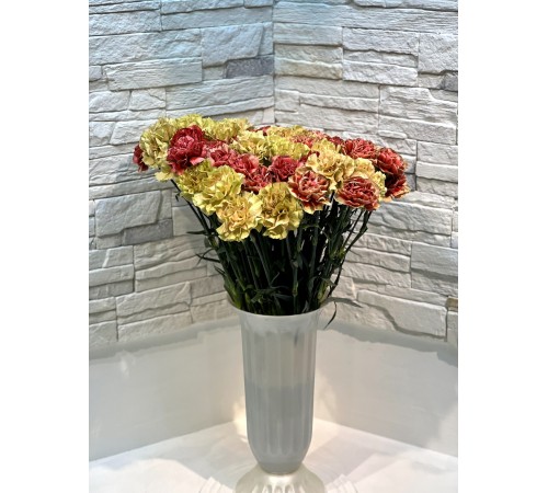 Гвоздика микс