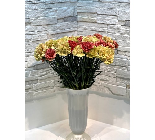 Гвоздика микс