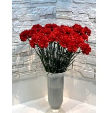 Гвоздика красная