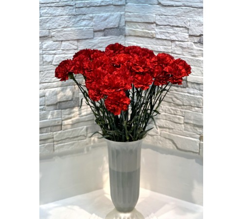 Гвоздика красная