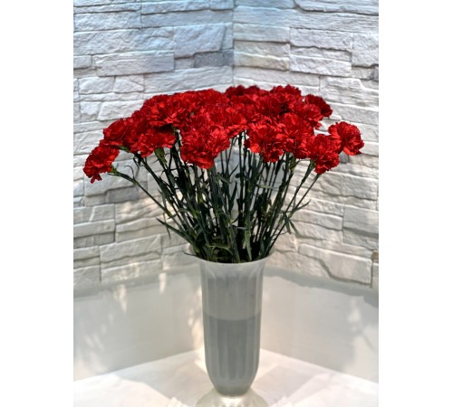 Гвоздика красная