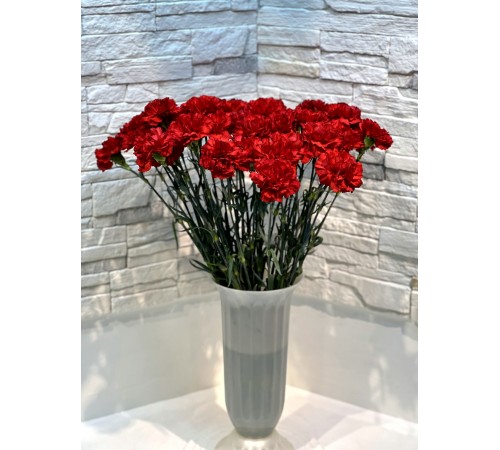 Гвоздика красная