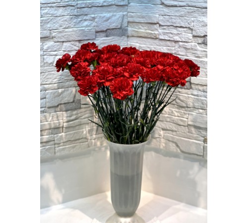 Гвоздика красная