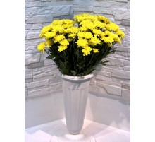 Хризантема Altaj Yellow