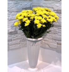 Хризантема Altaj Yellow