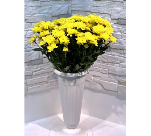 Хризантема Altaj Yellow