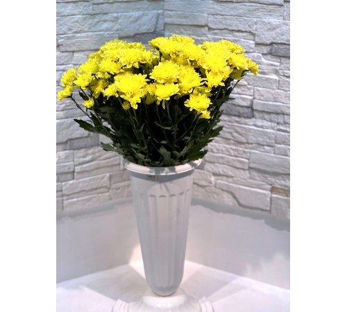 Хризантема Altaj Yellow