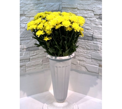 Хризантема Altaj Yellow