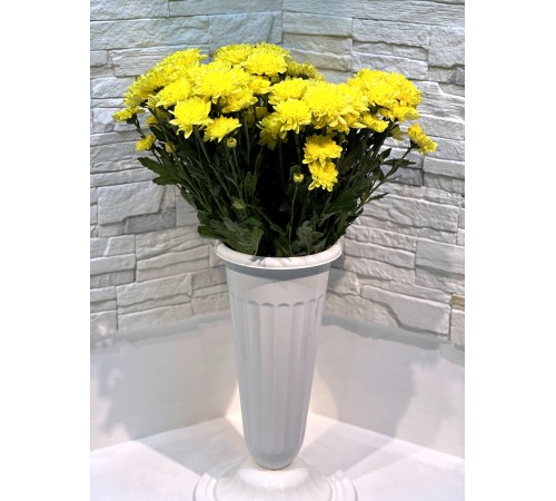 Хризантема Altaj Yellow