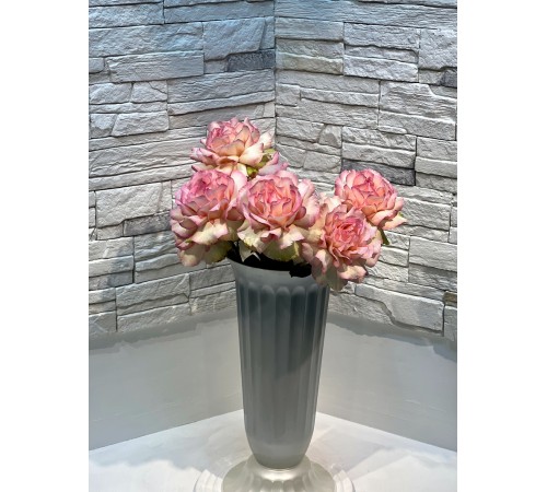 Французская роза